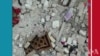 16x9 Image