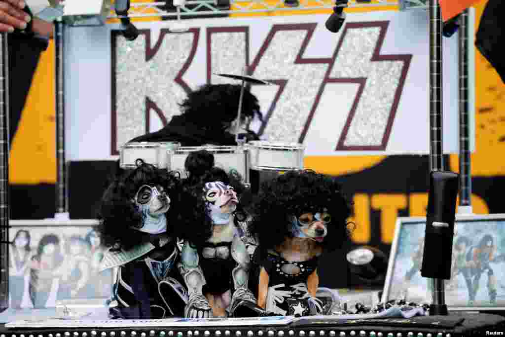 Dogs dressed up like the rock band Kiss take part during the annual Halloween dog parade at Manhattan's Tompkins Square Park in New York, Oct. 22, 2016.
