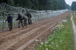 Tentara Polandia membangun pagar di perbatasan antara Polandia dan Belarus di dekat desa Nomiki, Polandia, 26 Agustus 2021. (REUTERS/Kacper Pempel/File Foto)