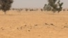 ADAMAWA: 'Yan Boko Haran Sun Haddasa Kwararowar Hamada