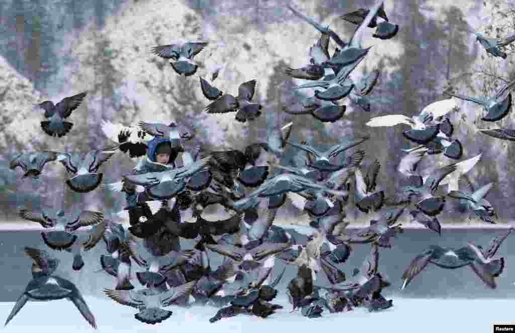 A boy feeds pigeons on a snow-covered embankment of the Yenisei River in the Siberian town of Divnogorsk, Russia.