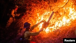Seorang petugas pemadam kebakaran bekerja mengatasi Kebakaran Palisades yang melanda Mandeville Canyon, sebuah kawasan di Los Angeles, California, AS, 12 Januari 2025.