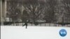 Sculptures Add to the Attraction of Outdoor Ice Rink