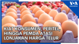 YT Thumb - Laporan VOA Telur 