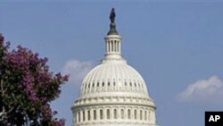 The Capitol is seen in Washington, DC, July 7, 2011 (file photo) 