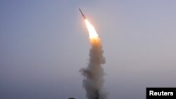 A newly developed anti-aircraft missile - North Korea