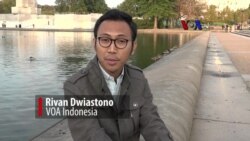 Istilah Politik AS: Kuda Hitam