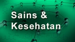 Sains dan Kesehatan: Sampah di Laut Dalam