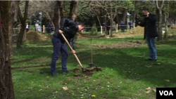 protests of ecologists in Albania