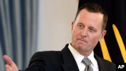 Ričard Grenel je postao ambasador u Nemačkoj u maju 2018. To mu je bio prvi ambasadorski položaj.