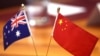 Former spy alleges global Chinese spy network hunts and abducts dissidents