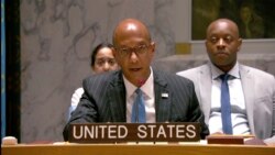 "Кремль поспішає фабрикувати успіхи на виборах", – Роберт Вуд. Відео