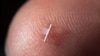 Particle accelerator on a nanostructured glass chip is smaller than a grain of rice. 
