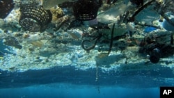 Ocean Plastic