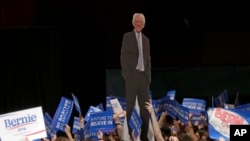 Para pendukung Bernie Sanders membawa patung karton senator itu dalam sebuah kampanye.