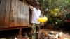 African nations prepare for what's to come after pause on US aid