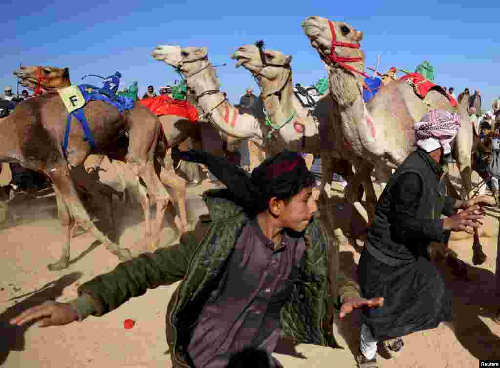Para peternak Badui berlari menjauh dari unta yang ditunggangi oleh joki robot selama Festival Balap Unta Ismailia yang dikenal sebagai "Sebaq Al-Hagen" dalam bahasa Arab, di gurun Sarabium di Ismailia, Mesir. (Reuters) 