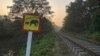A sign warning of wild elephants is placed near the site where a passenger train hit a herd and killed six elephants in Minneriya, Sri Lanka, Feb. 20, 2025.