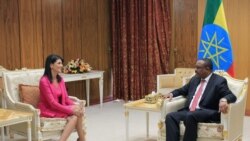 ኣብ አዲስ አበባ ዑደት ዘካይዳ ዘለዋ ኣምባሳደር ኣሜሪካ ኣብ ሕ/ሃ ንሰላም ደቡብ ሱዳን ጻዊዒት ኣቕሪበን