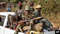 'Yan tawayen Seleka