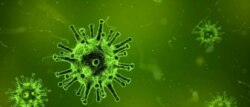 Ilustrasi virus korona
