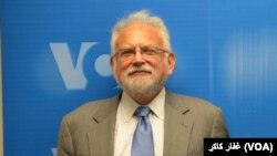 بارنت روبین، تحلیلگر امور افغانستان