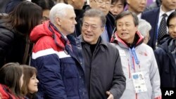마이크 펜스(가운데 왼쪽) 미국 부통령이 10일 강릉 아이스아레나에서 열린 평창올림픽 쇼트트랙 여자 500ｍ 예선 경기 현장에서 문재인(가운데) 한국 대통령과 환담하고 있다.