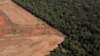 Deforestasi Hutan Amazon Naik 14% pada Maret
