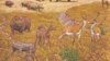 Some of the mammals that roamed North America 2-8 million years ago