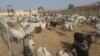 Sama Da Shanu Dubu 70 Ne Suka Salwanta Sanadiyar Boko Haram - Fulani