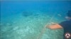 Filipina Singkirkan Penghalang Apung China di Laguna Laut China Selatan