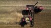China Makes Largest US Soy Purchases in Months: Traders