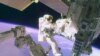 US Hosts International Space Meeting