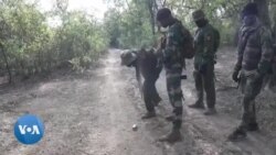 Sénégal : ces croyances mystiques qui alimentent le commerce illégal des félins