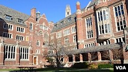 yale university
