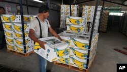 Seorang pekerja menumpuk sebuah kotak berisi pisang yang baru saja dipanen di Chiquita yang akan diekspor, di sebuah ladang di Ciudad Hidalgo, negara bagian Chiapas, Meksiko, Jumat, 31 Mei 2019 (foto: AP Photo/Marco Ugarte)
