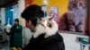 FILE - A Kashmiri man waits for his pet cat to receive treatment inside a Kashmir veterinary hospital in Srinagar, Indian-controlled Kashmir, Feb. 6, 2025.