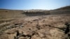 FILE - Sheep look for water in a dry pond used by local farms for their livestock, in Contrada Chiapparia, near the town of Caltanissetta, central Sicily, July 19, 2024. 