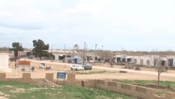 سایره شکیب 