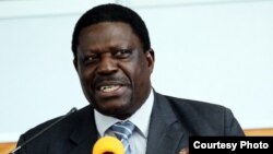Vanoona nezvegwara remusangano muZanu PF, VaMike Bimha.