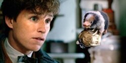 Fim Fantastic Beast 2. (Foto: Courtesy)
