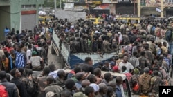Congo Fighting