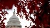 A general view of the U.S. Capitol dome in Washington, Nov. 10, 2020. 