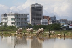 រូបថតកាលពីថ្ងៃទី ៥ ខែតុលា ឆ្នាំ ២០២១ បង្ហាញតំបន់ទាបមួយកន្លែង ស្ថិតក្នុងក្រុងព្រះសីហនុ ដែលត្រូវបានលិចកាលពីកន្លងទៅ។ (ស៊ុន ណារិន/វីអូអេ)