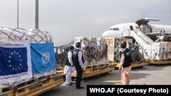 بشري سازمانونو له نړیوالې ټولنې غږ کړی چې افغانستان یوازې پرېنږدي