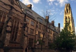 Menara Harkness di kampus Universitas Yale di New Haven, Conn., 9 September 2016. (Foto: AP)