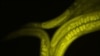 16x9 Image