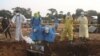 Islamic State-linked rebels in east DRC kill dozens, authorities say