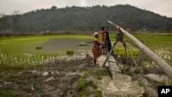An Indian woman helps her farmer husband irrigate a paddy field using a traditional system, on the outskirts of Gauhati, India, Feb. 1, 2019.