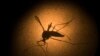 Lembaga Eijkman Temukan 1 Kasus Zika di Indonesia